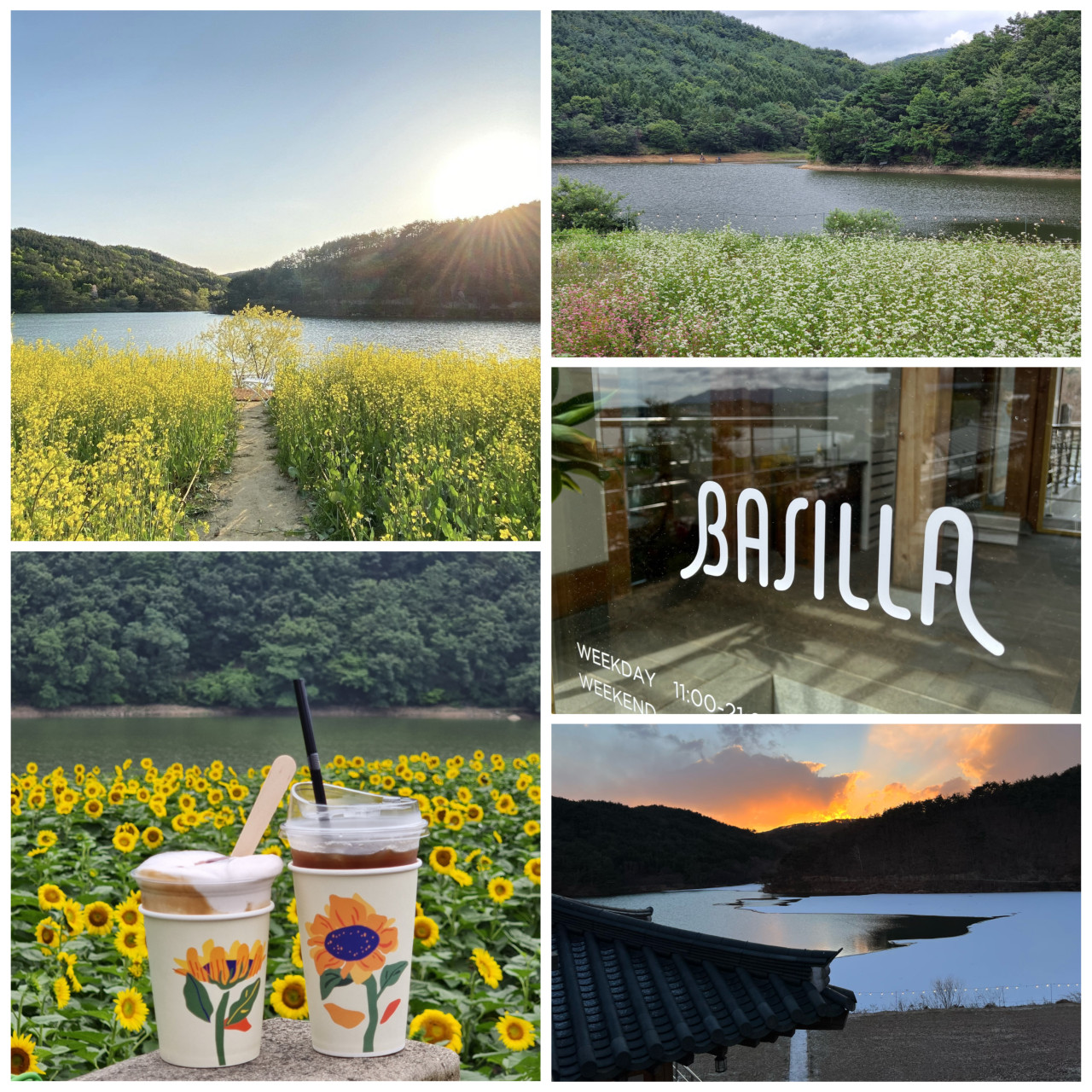 경주애견동반카페 이미지